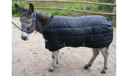 1_donkey_rugs_524702487