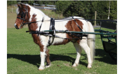 8_driving_harness
