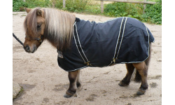 drclliss_dink_1024x720_558549143