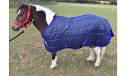 drclqust_cupid_1024x718