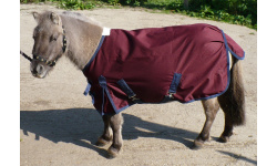 drclslod_twink_1024x717_2003858580