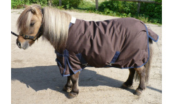 drclsmwi_dink1_1024x703