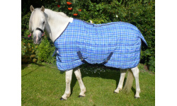 drclsssr_ryan_1883196543