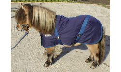 drclsush_dinky_1791497914