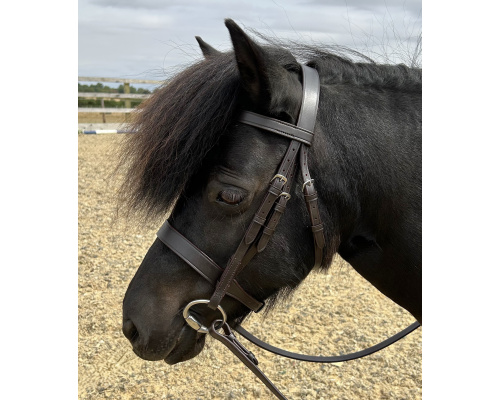 best_snaffle_bridle_crx