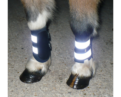 dbrefboo_night_1024x939