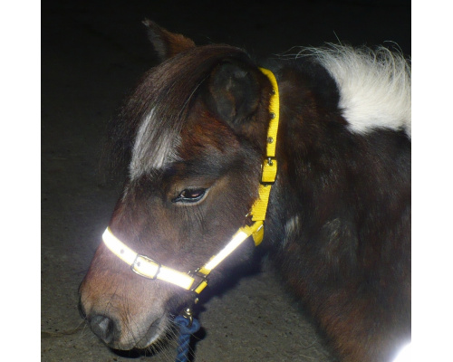 dhrefnyh_cu_1024x1001