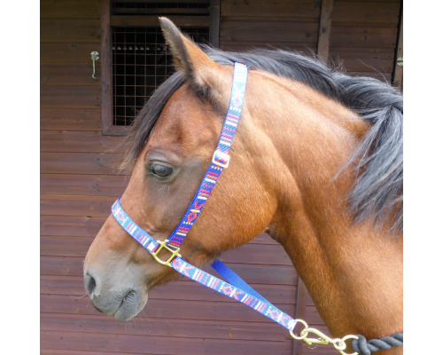 dhtrahal_blu_multi_ros_1024x998