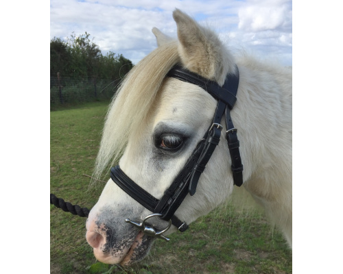 dlabrpad_gem_906x1024