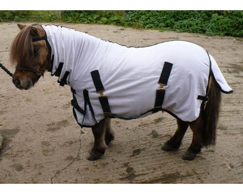 drclanms_dinky1_1024x735_327098341