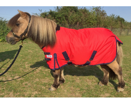 drclsmau_red_dinky1_1024x719_111482932