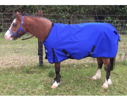 drclxdmw_bella_1024x737