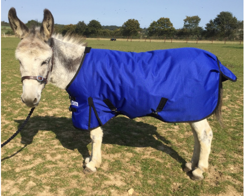 drclxdmw_ry2_1024x826