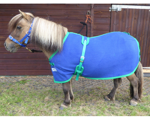 drcustfl_dink2_1024x768_1591518089