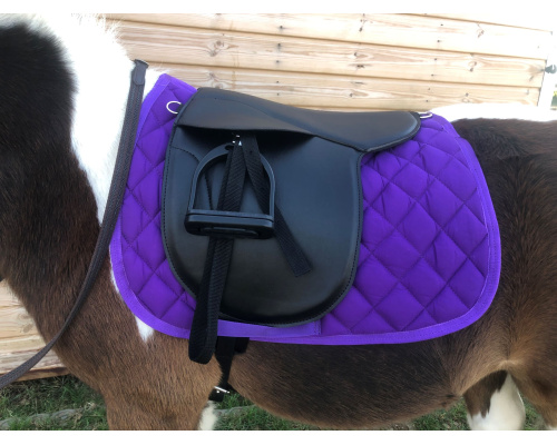 dsclquscxs__dsmisale14_rs