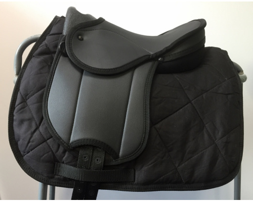 dscussap_bk_xs_1024x806